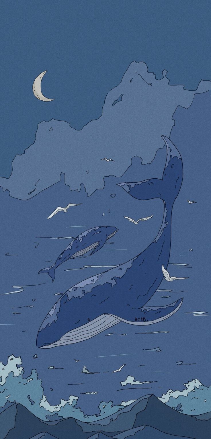 Whale image